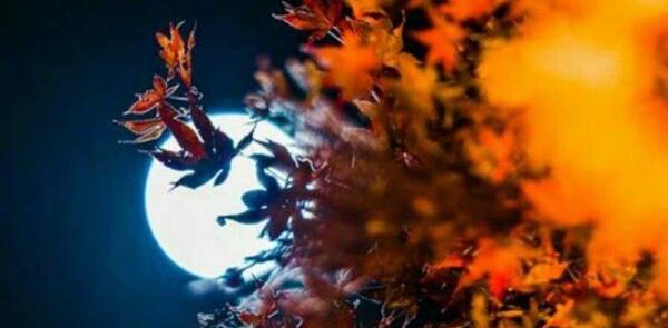 عکس نوشته پاییزی خدا