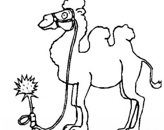 عکس نقاشی صورت شتر