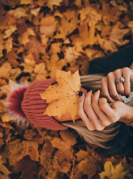 عکس پروفایل گروه پاییزی