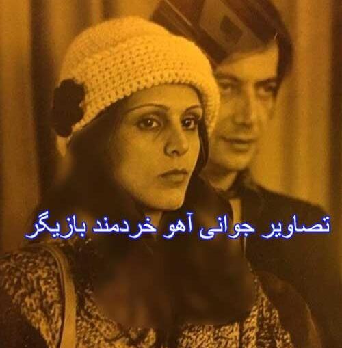 دانلود عکس آهو خردمند