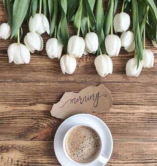 عکس بک گراند صبح بخیر