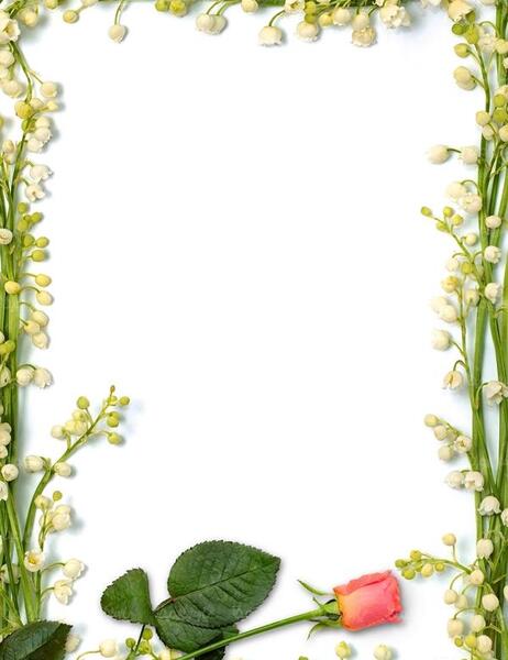 عکس خالی گل