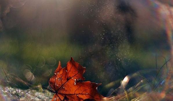 عکس پاییزی حرفه ای