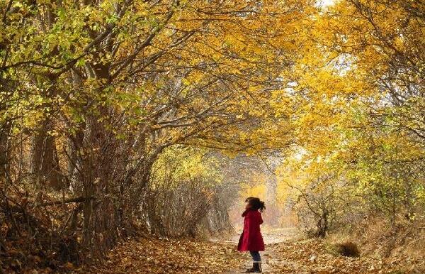 عکس پاییزی حرفه ای