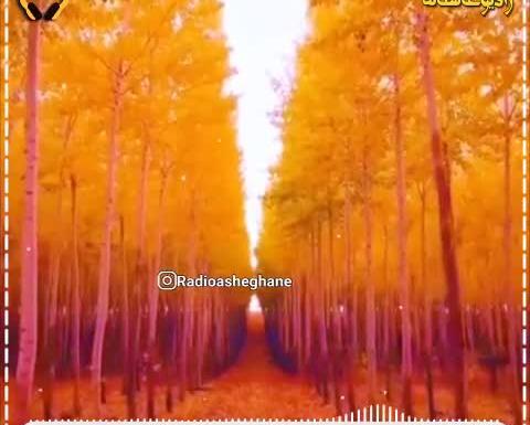 عکس پاییز اومده پی نامردی
