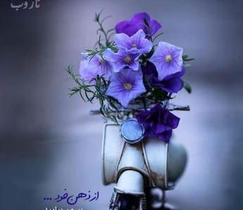 عکس و تصویر زیبا