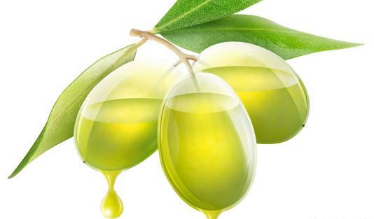 عکس لایه باز زیتون