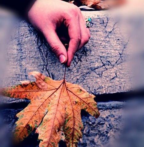 عکس متن برگ پاییزی