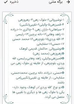 عکس سردار طایفه نارویی