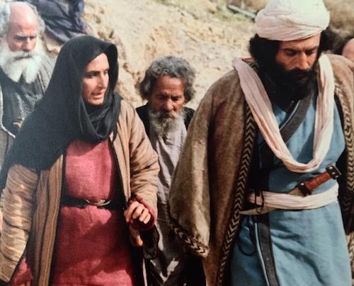 عکس از علیرضا شجاع نوری
