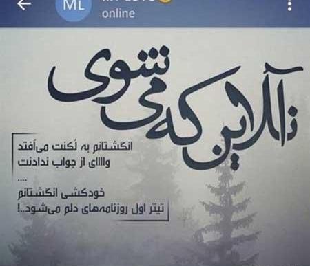 عکس پروفایل گور بابای بعضیا