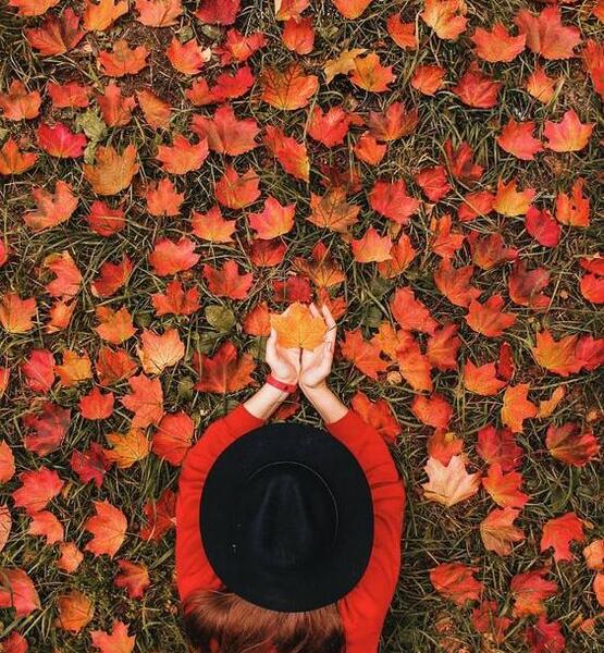 ایده ژست عکس پاییزی