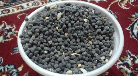 عکس لپه نخود