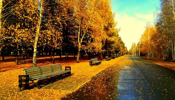 عکس پاییز بارانی زیبا