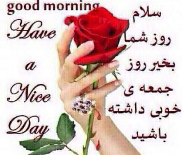عکس درباره ظهر بخیر