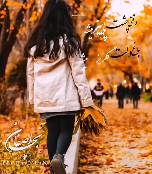 عکس پاییز استوری