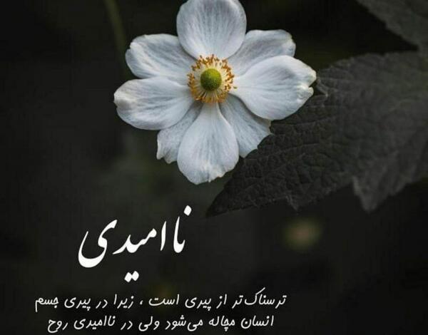 عکس پروفایل ناامیدی
