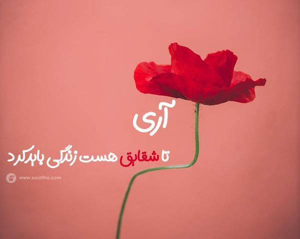 عکس درباره زندگی زیباست