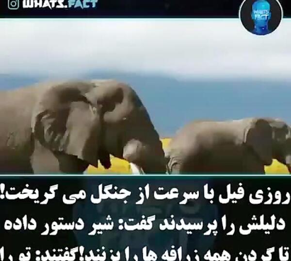 عکس نوشته پند آموز برای وضعیت واتساپ