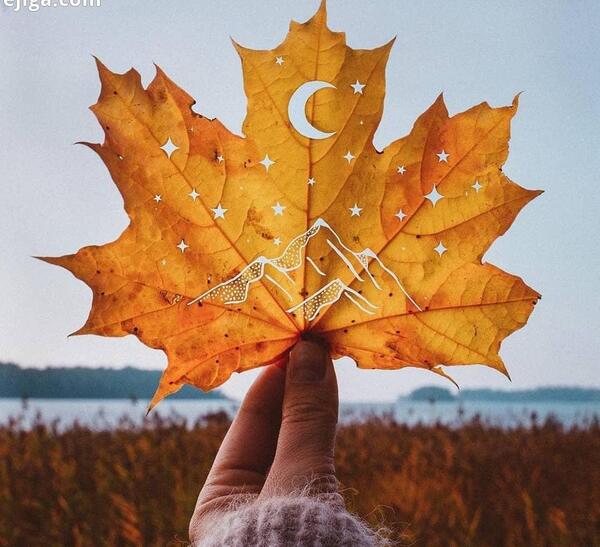 ایده برای عکس های پاییزی