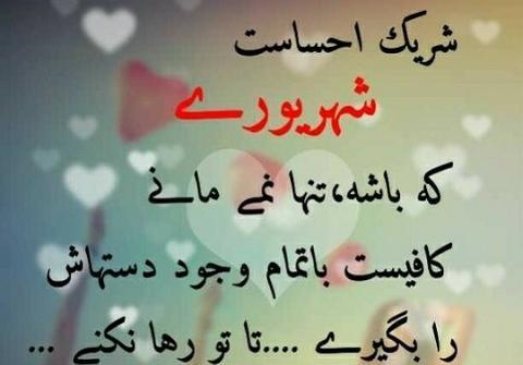 عکس پروفایل خوشبختی یعنی عشقت شهریوری باشه