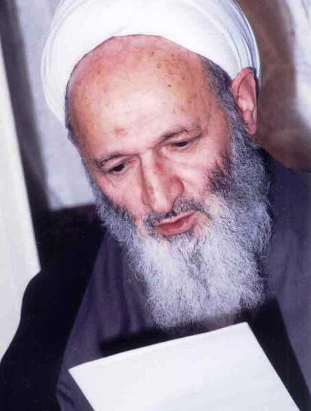 عکس لایه باز علامه حسن زاده