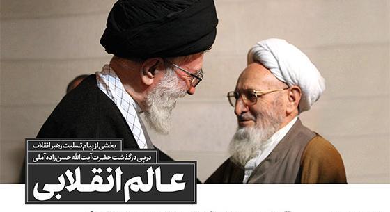 عکس لایه باز علامه حسن زاده