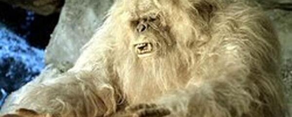 عکس میمون غول