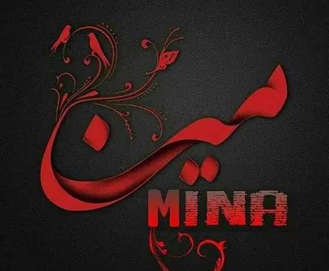 عکس زیبای مینا