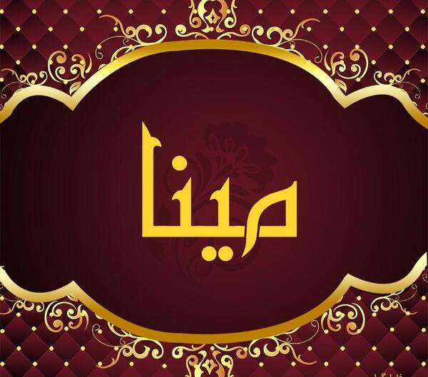 عکس زیبای مینا