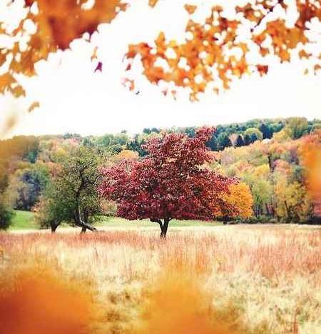 عکس نوشته ی پاییزی برای پروفایل
