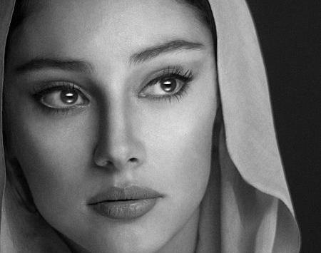 زیباترین عکس ترلان پروانه