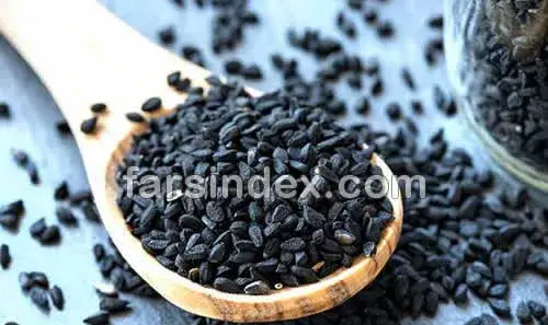 عکس سیاه دانه برای لاغری