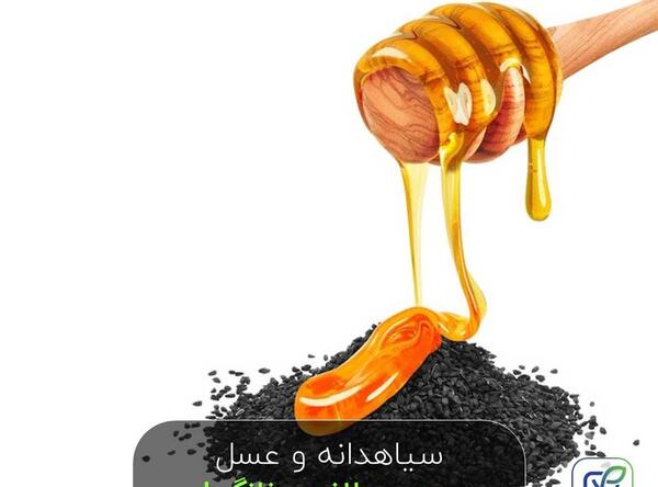 عکس سیاه دانه برای لاغری
