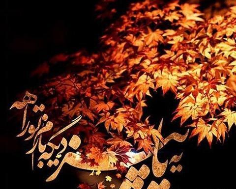 عکس پاییز شب