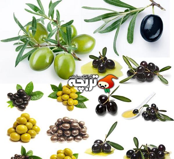 عکس با کیفیت زیتون