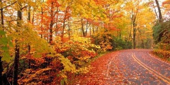 عکس خیلی زیبا از پاییز