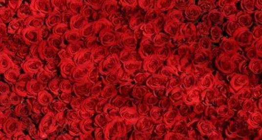 عکس وسایل قرمز
