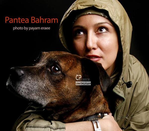 گالری عکس پانته آ بهرام