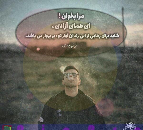 عکس پروفایل برادر زندانی
