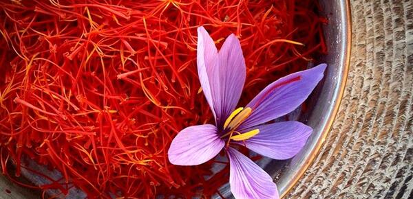 عکس غبار زعفران