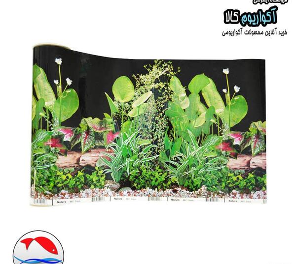 عکس بک گراند آکواریوم