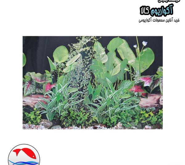 عکس بک گراند آکواریوم