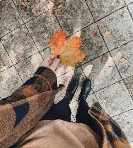 عکس پاییزی دخترونه فیک