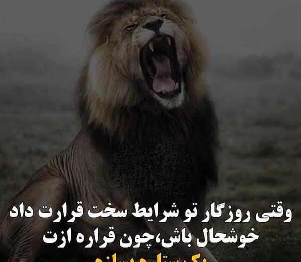 عکس برای استوری انگیزشی
