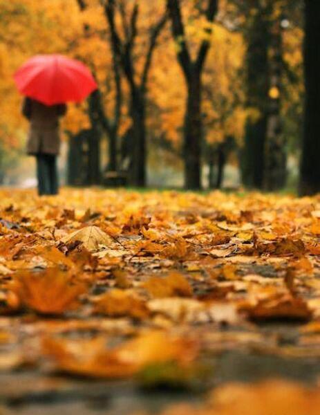 عکس پاییزی دخترونه تنها