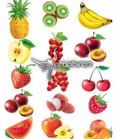 عکس دانلود وکتور ظرف میوه
