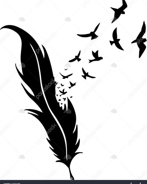 عکس وکتور پرنده