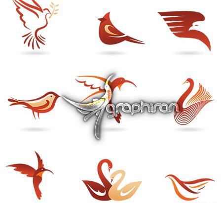 عکس وکتور پرنده