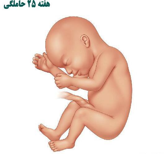 عکس ماه حاملگی